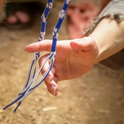 Image for the chosen